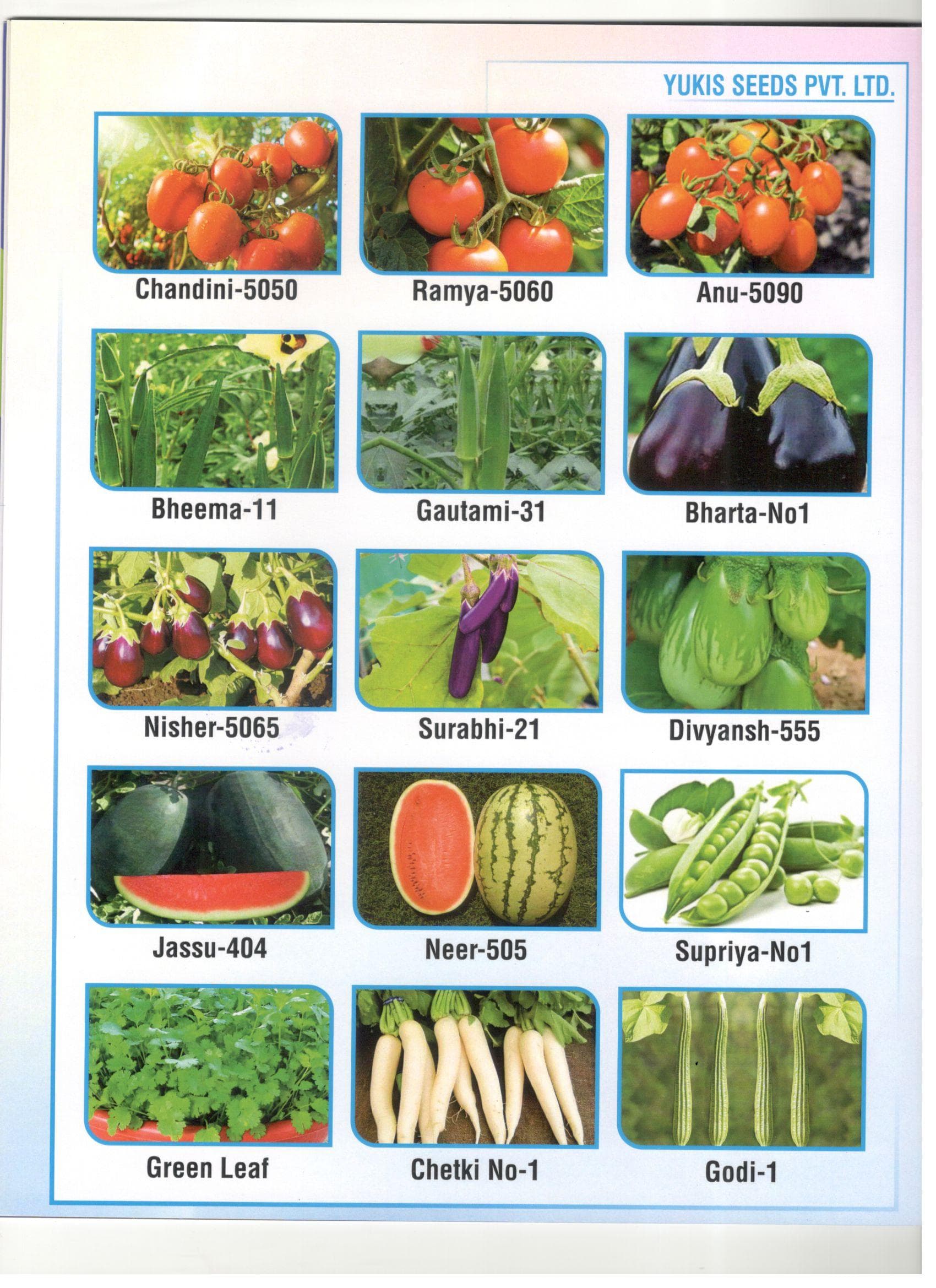 Yukis Seeds - Vegetable Seeds Collection 2